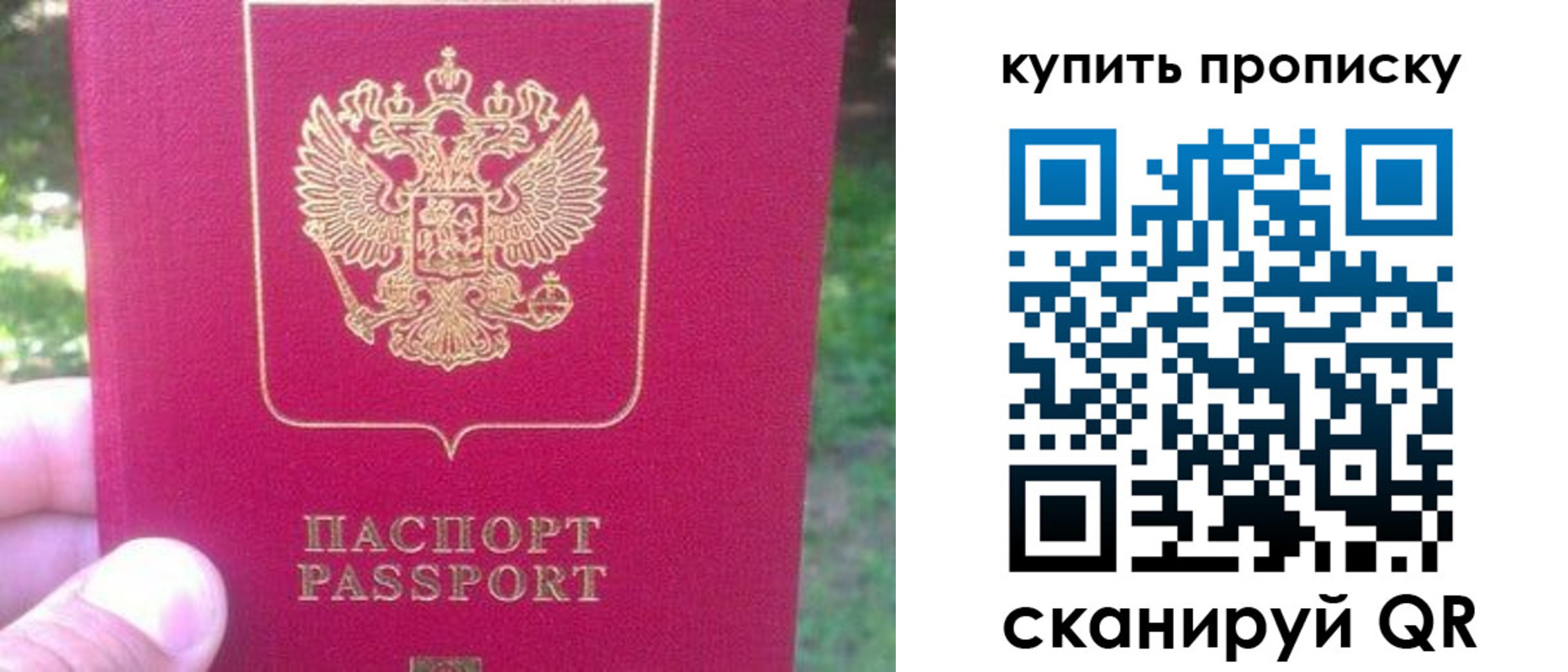 временная регистрация для школы в Дальнегорске